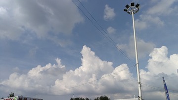 1000002491