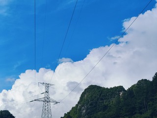 1000024653