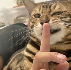 887046