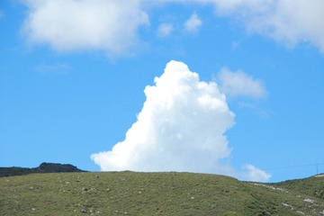 1000101926