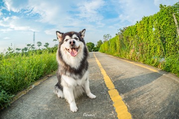 7563FAA0-AF75-40D9-AC30-9E728D03B96F/L0/001