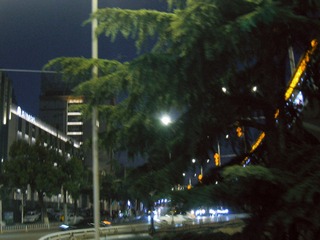 19004