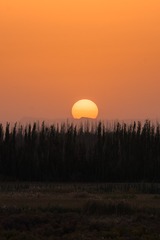 300807