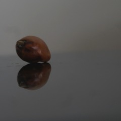 26265