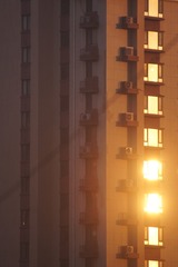 56828