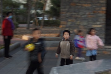 203141