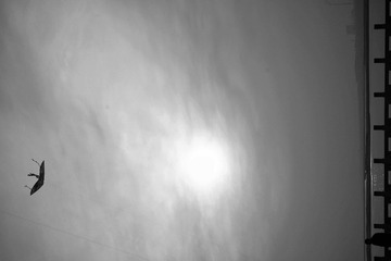 001