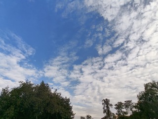 1000001351