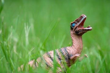 3244