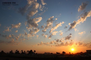 IMG_8352.JPG