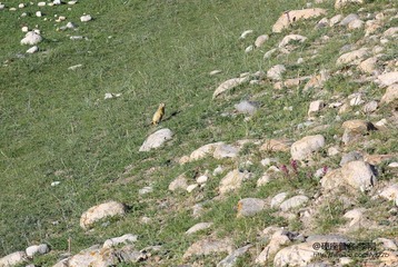 IMG_9777.JPG