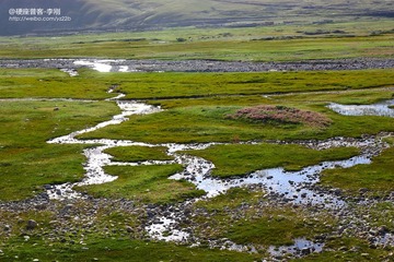IMG_9814.JPG