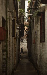 NY8A7831.JPG