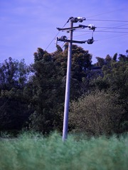 Job_0668