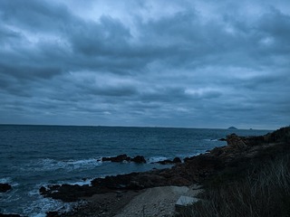 1000051606