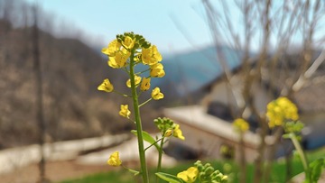 IMG20240321114149