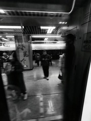 1000016362