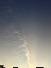 1000007306