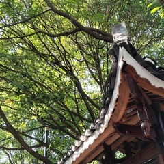 IMG20240813085008