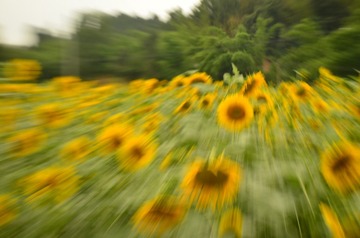 1000024450