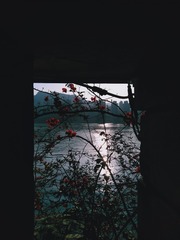 1000005472