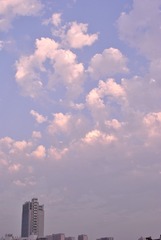 1000009905