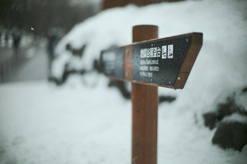 L1101213