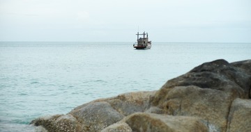 L1103163