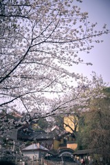 2F2F7821-C1F8-4E36-A44F-0B382288BB93/L0/001