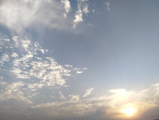1000005336