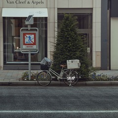 _DSC0483 d.jpg