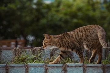 DSC_0560.jpg