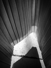 R0014921.JPG