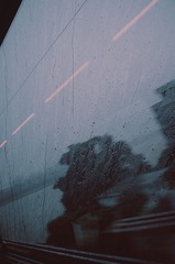 DSC_5652 副本.JPG