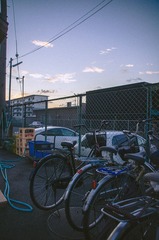 _DSC0235 