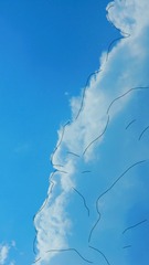1000403022