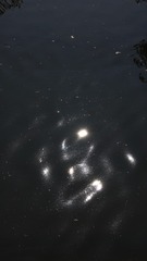 1000372027