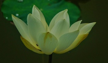 1000393637