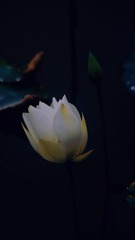 1000393643
