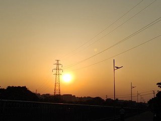 1000003302