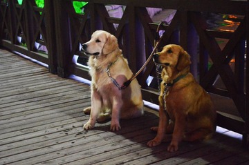 DSC_0326.JPG