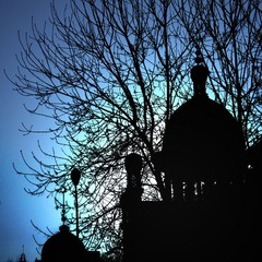 P1020318-25-09.jpg