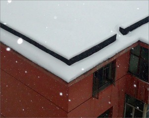 DSC01282-28.jpg
