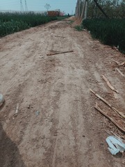 4468563