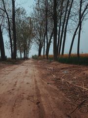 4468562