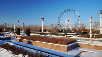 conew_dsc00181_conew1.jpg