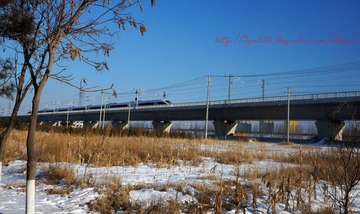conew_dsc00155_conew1.jpg