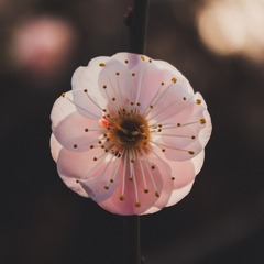 140986