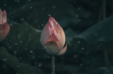123014