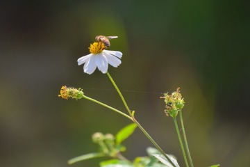 CSC_0406